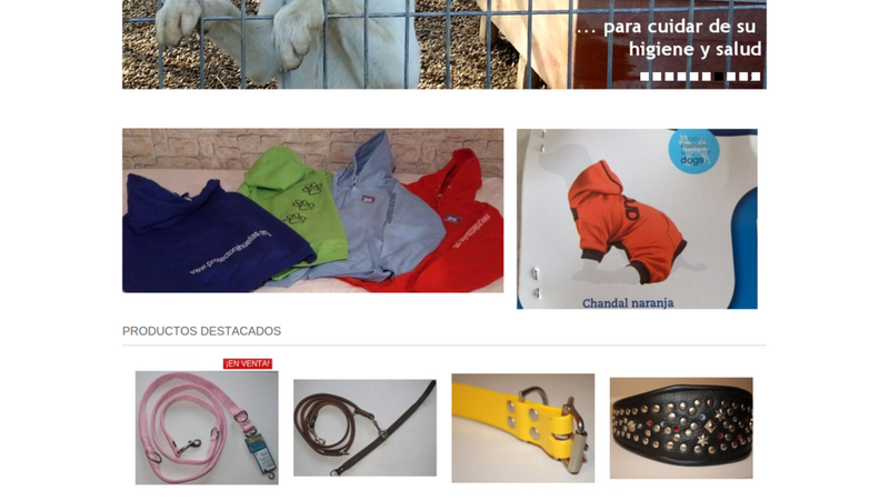 Animal shelter solidarity shop homepage