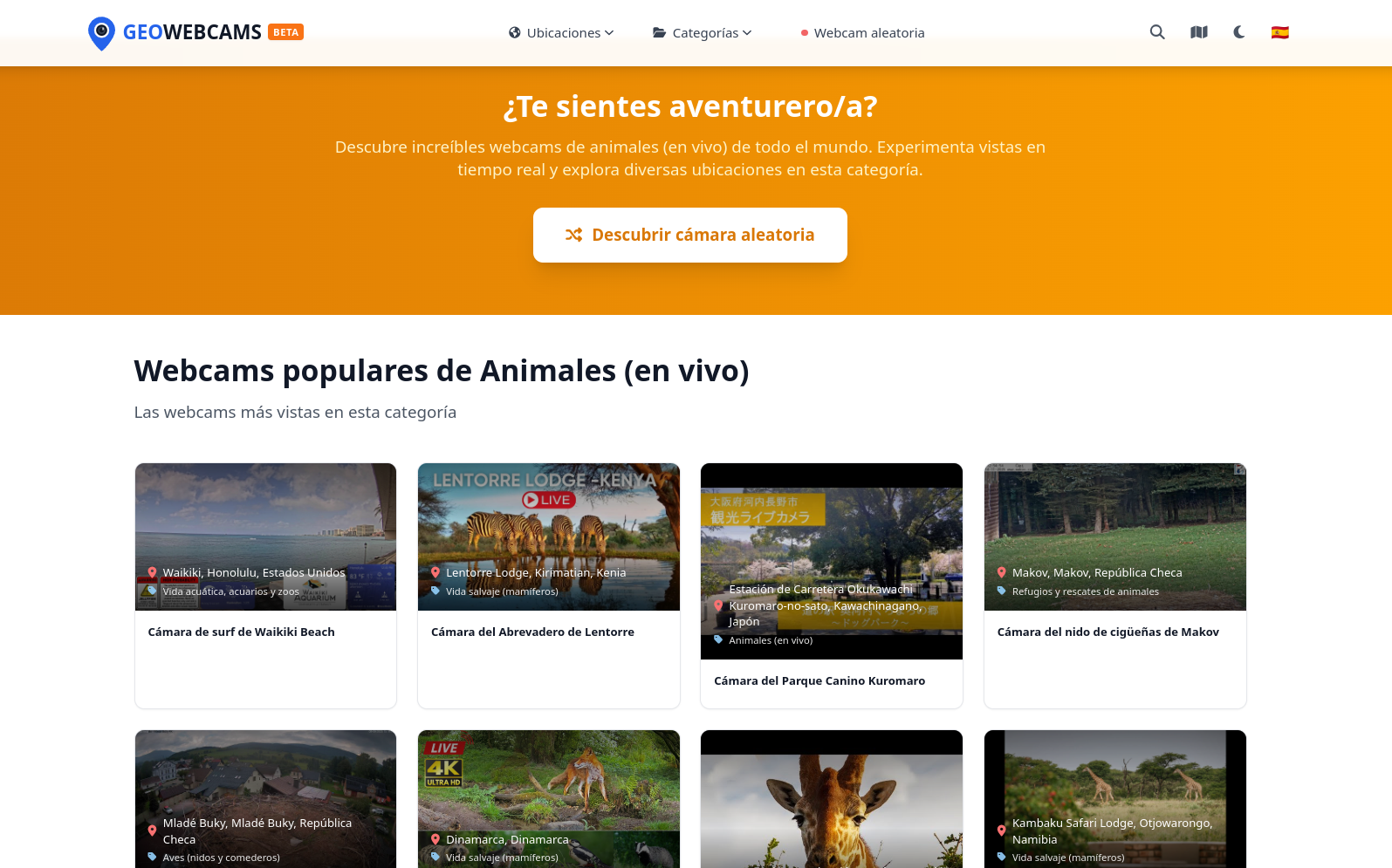 Sección de aventura con descubrimiento de cámaras aleatorias