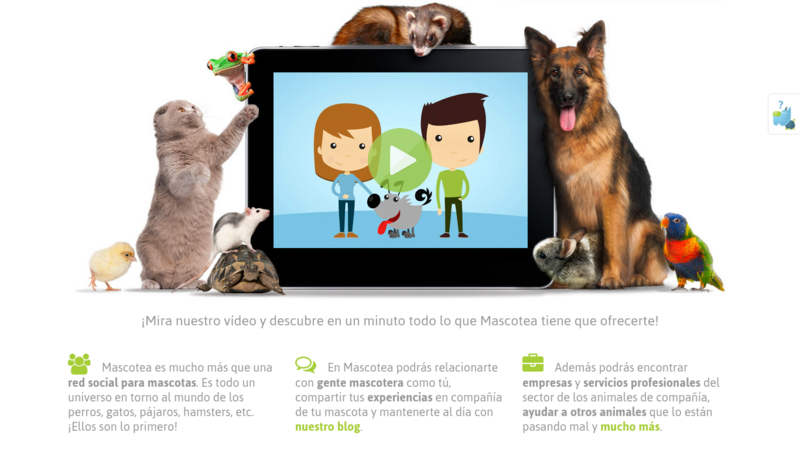 Mascotea homepage showing the social network for pets