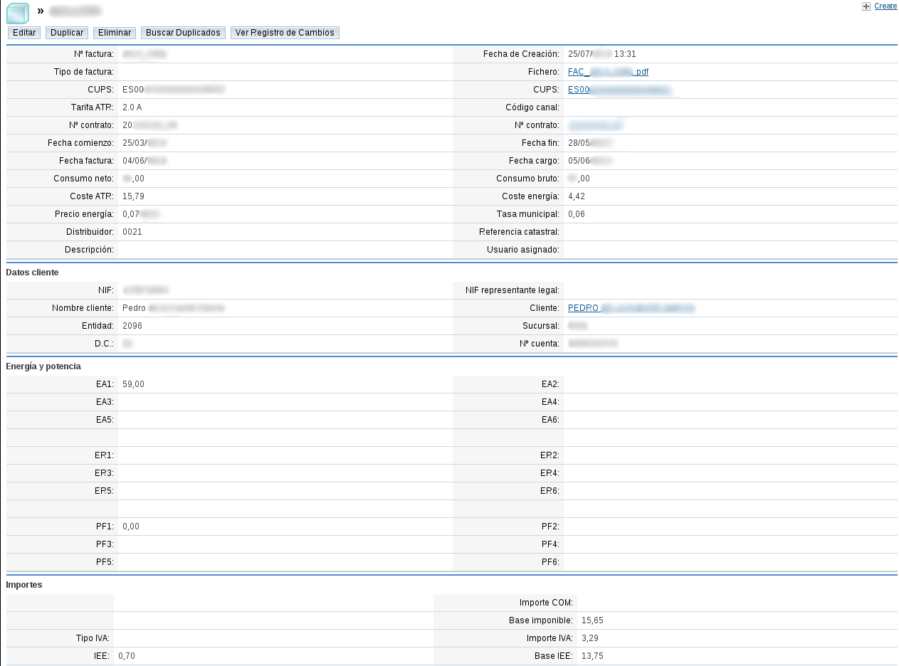 Custom invoicing module for electricity billing